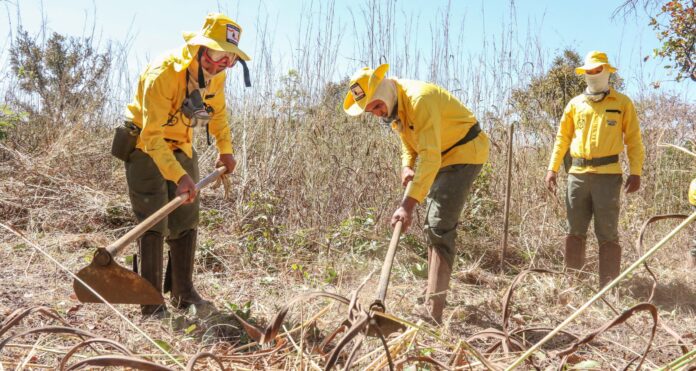 01.-em-2023-candidatos-a-funcao-de-brigadistas-de-combate-a-incendio-florestal-terao-60-vagas-disponiveis-luiz-henrique-machado-governo-do-tocantins-scaled