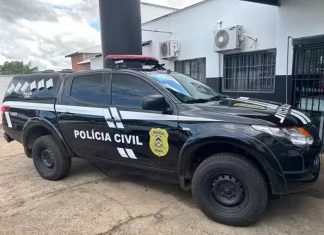 Suspeito de matar cães a tiros em zona rural do TO é preso, diz polícia