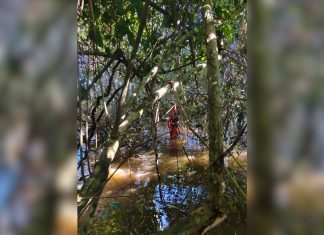 Bombeiros fazem buscas por homem desaparecido na zona rural de Aragominas