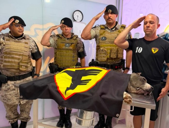 homenagem-raio